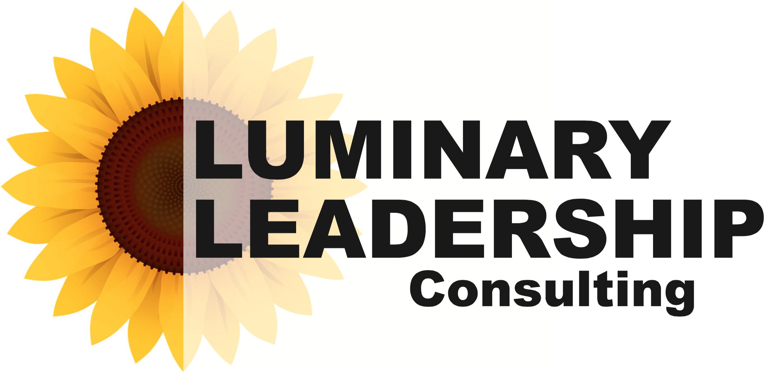 Leadership Challenge 1 Give Grace Luminary Leadership Consulting